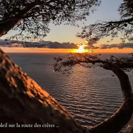 De L'elegance Au Bord De L'eau *